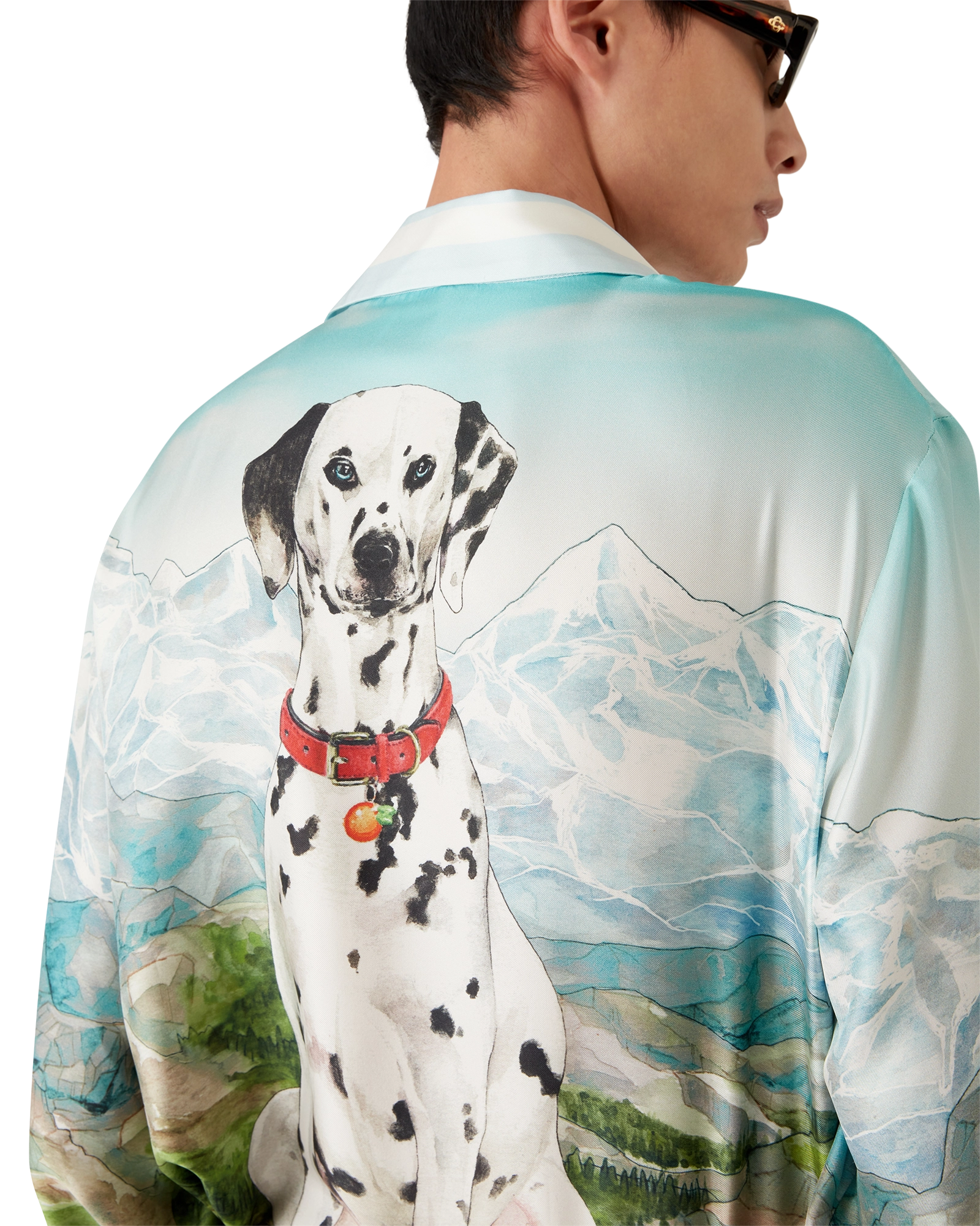 Dalmatian A La Montange Long Sleeve Silk Shirt - 图片 9